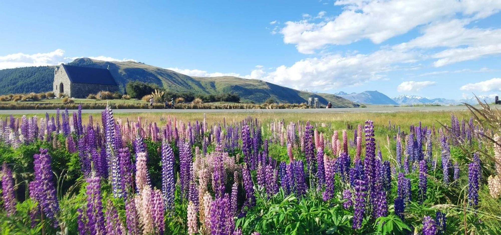 37 Galaxy C Studio Lake Tekapo Esterno foto
