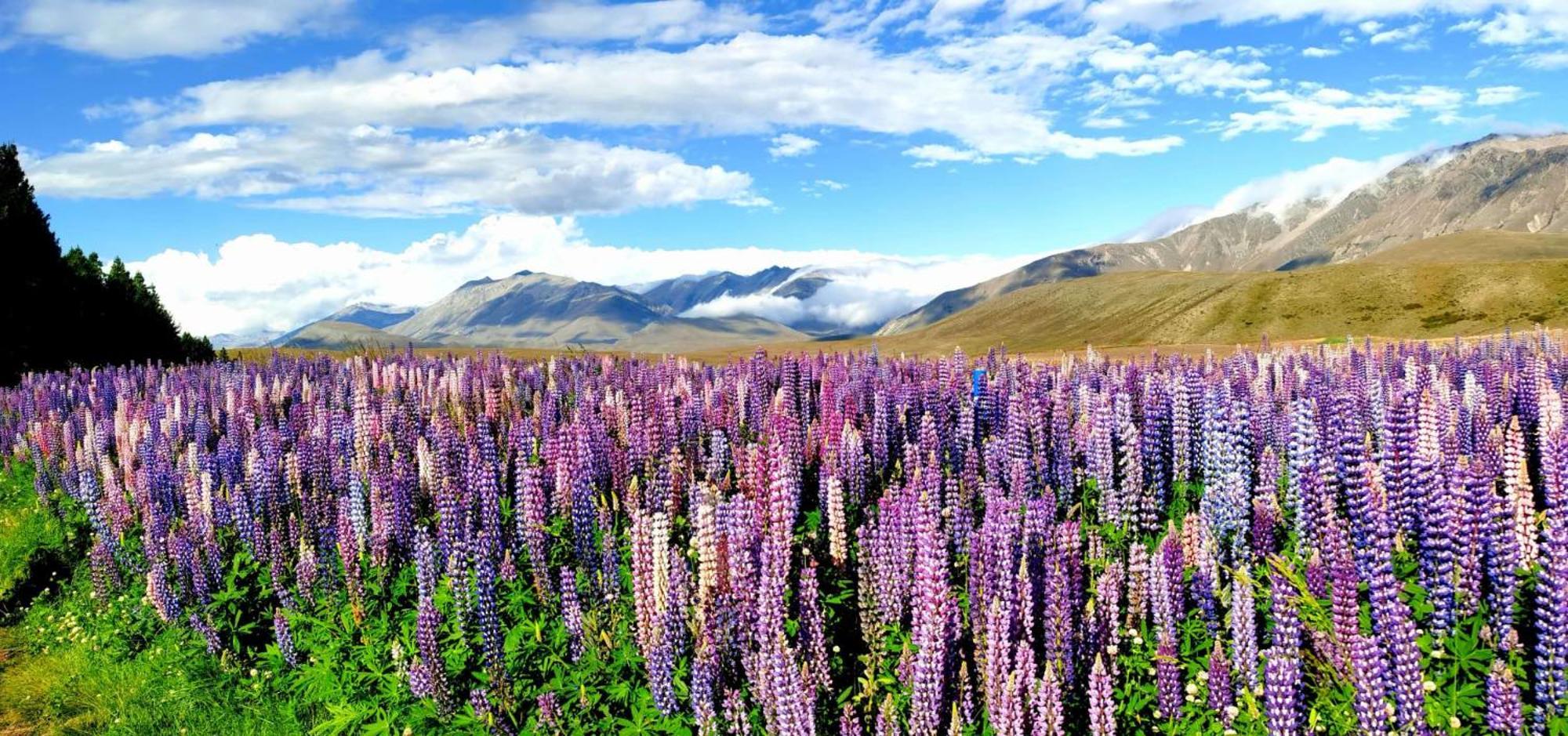 37 Galaxy C Studio Lake Tekapo Esterno foto